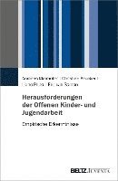 bokomslag Herausforderungen der Offenen Kinder- und Jugendarbeit