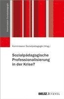 bokomslag Sozialpädagogische Professionalisierung in der Krise?