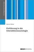 bokomslag Einführung in die Interaktionssoziologie