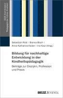 bokomslag Bildung für nachhaltige Entwicklung in der Kindheitspädagogik