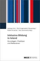 Inklusive Bildung in Island 1