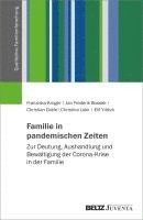 bokomslag Familie in pandemischen Zeiten