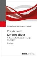 bokomslag Praxisbuch Kinderschutz