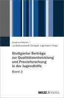 bokomslag Stuttgarter Beiträge zur Qualitätsentwicklung und Praxisforschung in der Jugendhilfe, Band 2