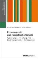 Extrem rechte und rassistische Gewalt 1