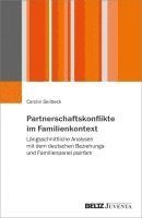 bokomslag Partnerschaftskonflikte im Familienkontext