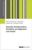 bokomslag Geteilte Arbeitswelten. Konflikte um Migration und Arbeit