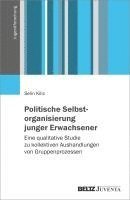 bokomslag Politische Selbstorganisierung junger Erwachsener