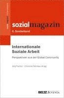 bokomslag Internationale Soziale Arbeit - Perspektiven aus der Global Community