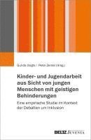 bokomslag Kinder- und Jugendarbeit aus Sicht von jungen Menschen mit geistigen Behinderungen