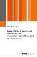 bokomslag Jugendliches Engagement am Beispiel der Fridays-for-Future-Bewegung