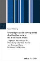 bokomslag Grundlagen und Schwerpunkte des Familienrechts für die Soziale Arbeit