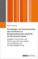 bokomslag Grundlagen und Schwerpunkte des Verfahrens in Kindschaftssachen (FamFG) für die Soziale Arbeit