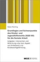 bokomslag Grundlagen und Schwerpunkte des Kinder- und Jugendhilferechts (SGB VIII) für die Soziale Arbeit