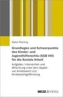 Walter Röchling - Grundlagen und Schwerpunkte des Kinder- und Jugendhilferechts (SGB VIII) für die Soziale Arbeit, Häftad