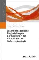 bokomslag Jugendpädagogische Fragestellungen der Gegenwart aus Perspektive der Waldorfpädagogik