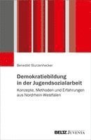 Benedikt Sturzenhecker - Demokratiebildung in der Jugendsozialarbeit, Häftad