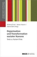 Stefanie Ernst, Adrian Jitschin, Valerie Dahl - Organisation und Transformation sozialer Kanons, Häftad