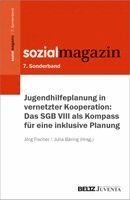 Jörg Fischer, Julia Bäring - Jugendhilfeplanung in vernetzter Kooperation: Das SGB VIII als Kompass für eine inklusive Planung, Häftad