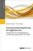 Ralph Kortewille, Katrin Boger - Traumasensible Begleitung bei Aggressionen, Häftad