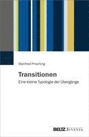 Manfred Prisching - Transitionen, Häftad