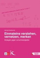 bokomslag Einmaleins verstehen, vernetzen, merken