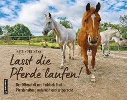 bokomslag Lasst die Pferde laufen