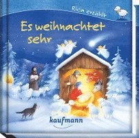 bokomslag Rica erzählt: Es weihnachtet sehr