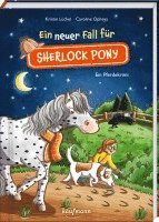 Ein neuer Fall für Sherlock Pony 1