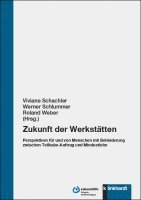 Viviane Schachler, Werner Schlummer, Roland Weber - Zukunft der Werkstätten, Häftad