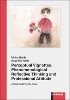 bokomslag Perceptual Vignettes. Phenomenological Reflective Thinking and Professional Attitude