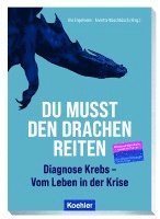 bokomslag Du musst den Drachen reiten