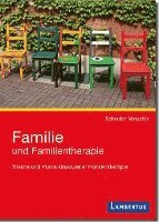 bokomslag Familie und Familientherapie