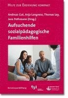 bokomslag Aufsuchende sozialpädagogische Familienhilfen