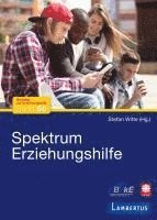bokomslag Spektrum Erziehungshilfe