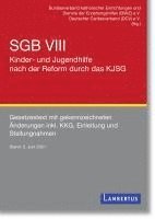 bokomslag SGB VIII - Kinder- und Jugendhilfe nach der Reform durch das KJSG