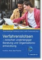 bokomslag Verfahrenslotsen - Zwischen unabhängiger Beratung und Organisationsentwicklung