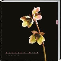 Annette Danielsen - Blumenstrick, Inbunden