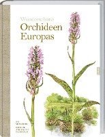 bokomslag Wunderschöne Orchideen Europas