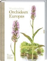 Bo Mossberg, Henrik Pedersen - Wunderschöne Orchideen Europas, Inbunden