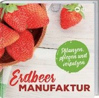 bokomslag Erdbeer-Manufaktur