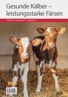 bokomslag Gesunde Kälber - leistungsstarke Färsen