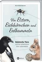 bokomslag Von Elstern, Eichhörnchen und Erdhummeln