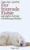 Der frierende Eisbär 1