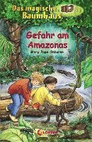 bokomslag Gefahr am Amazonas