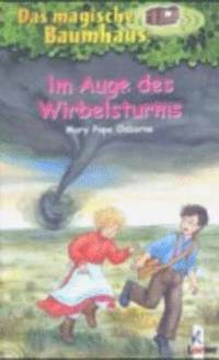 bokomslag Im Auges des Wirbelsturms