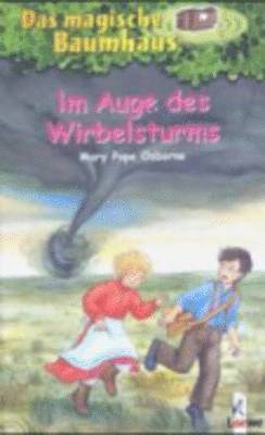 bokomslag Im Auges des Wirbelsturms