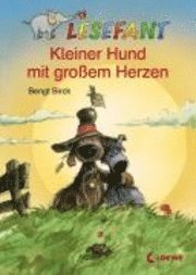 Kleiner Hund mit grossem Herzen 1