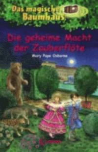 bokomslag Die geheime Macht der Zauberflote