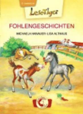 Michaela Hanauer - Fohlengeschichten (Grossbuchstabenausgabe), Inbunden